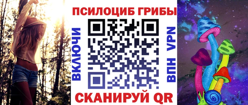 ссылка на мегу ONION Цимлянск Псилоцибиновые грибы ЛСД